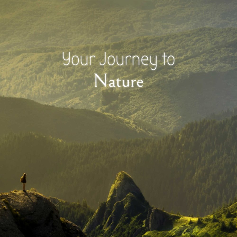 Nature's journey. Nature перевод. Nature перевод на русский. Как переводится nature. Nature Translated.