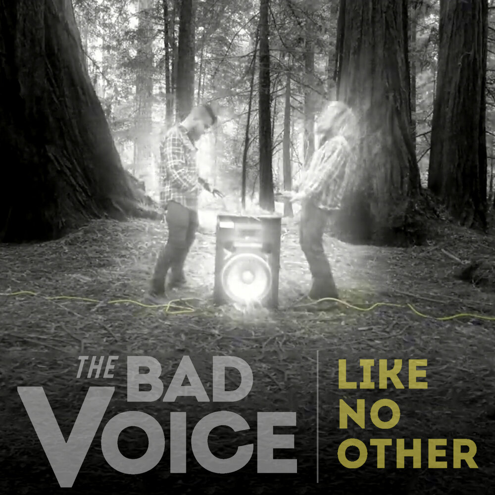 Voice album. Bad Voice. The Bad Voice: like no other. Bad Voice ютуб.