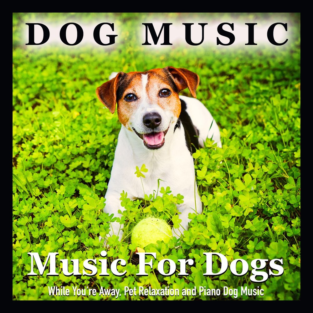 Dog music. Musical Dog. Песня дог дог. Dog Listening the Music.