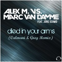 Alex M., Marc van Damme