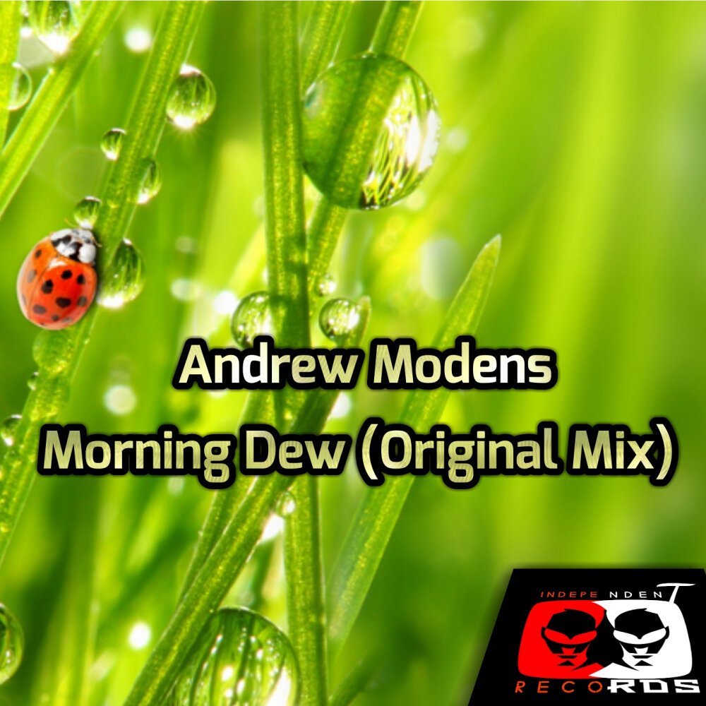 Morning dew xavier wulf, bones текст. Morning dew xavier. Утро роса. Bones x ethel wulf. Обои роса.