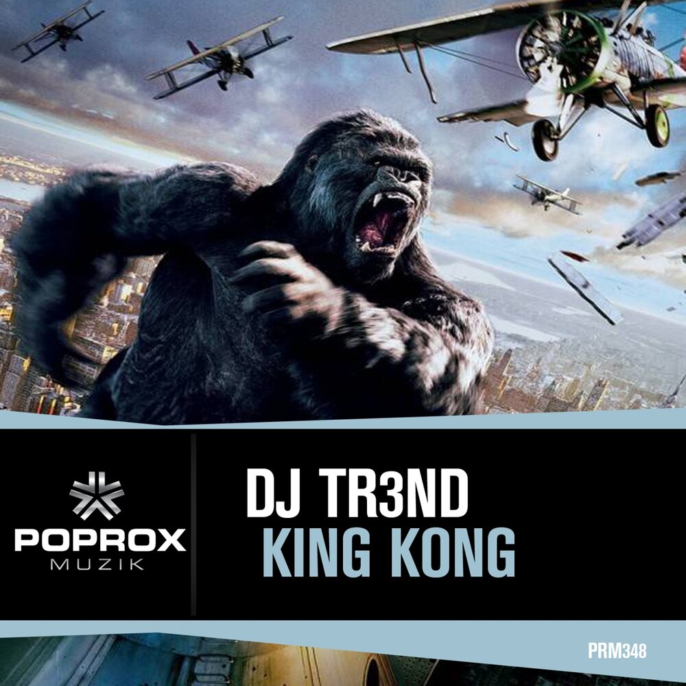 King kong песня. Конг песня. Песни про Конгов. DJ Kong.