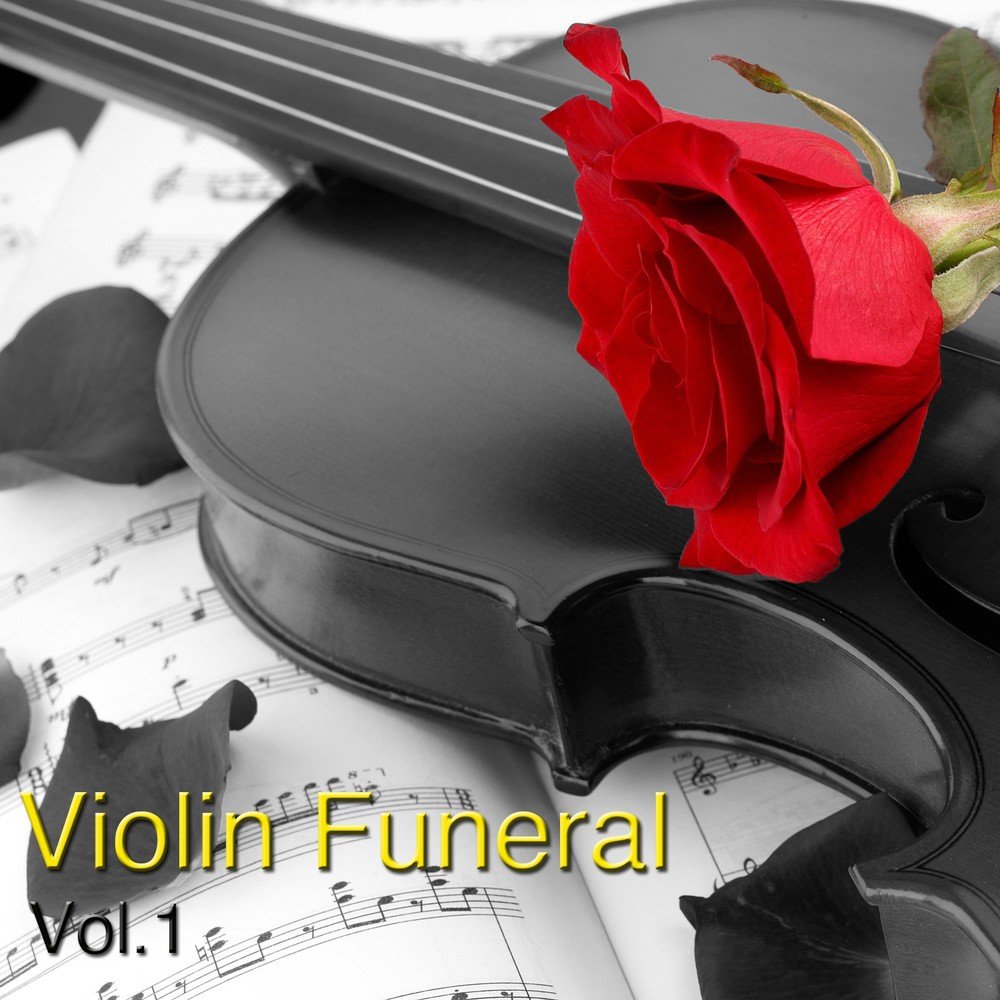 Скрипка. Музыкальные инструменты и цветы. Музыкальный цветок. Violin last