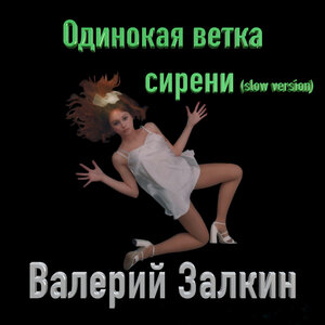 Одинокая ветка сирени