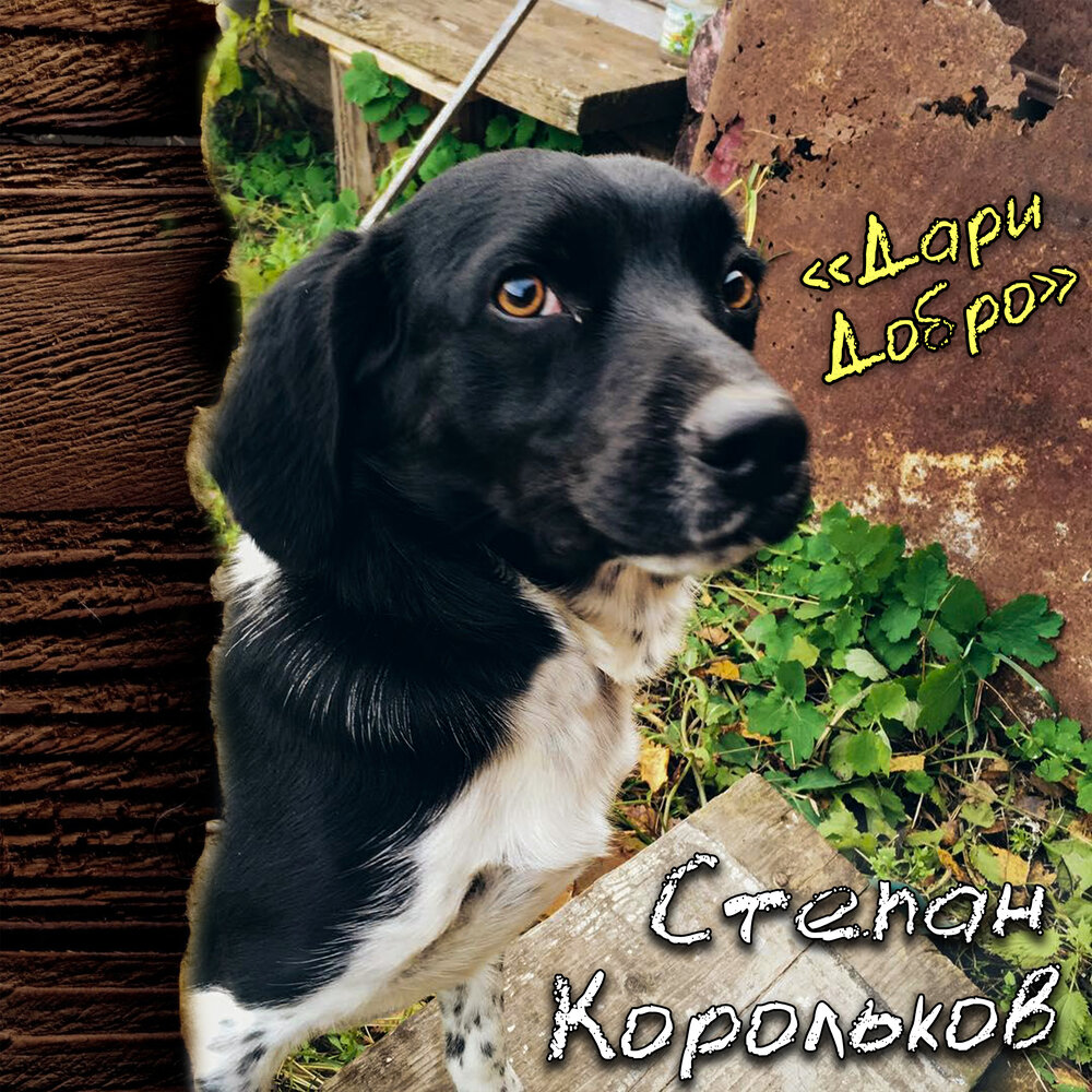 Твори добро дари добро. Открытки дарю добро. Песня дарите добро слушать. Подари другому доброту. Любовь к природе.