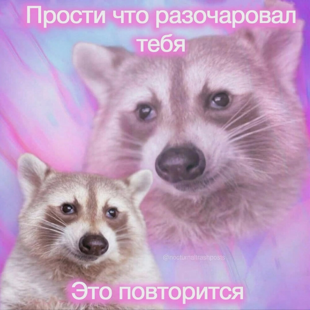 Мем с енотом 2025