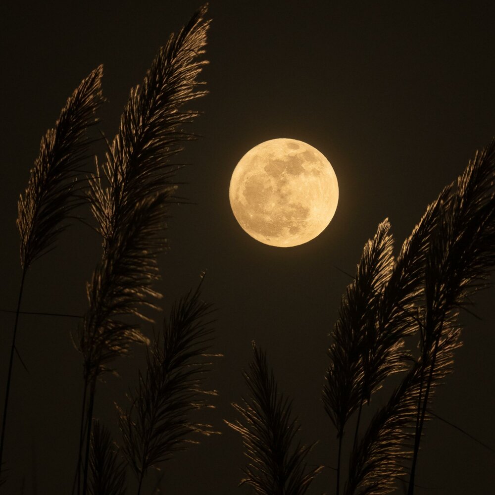 Слушать светлая луна. Луна солнце мертвых. Night Moonlight песня.