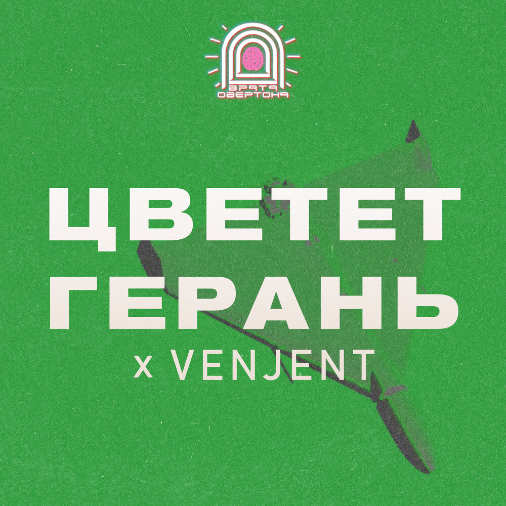 Врата овертона герань. Цветет герань врата овертона. create machines venjent. venjent logo. venjent its going down.