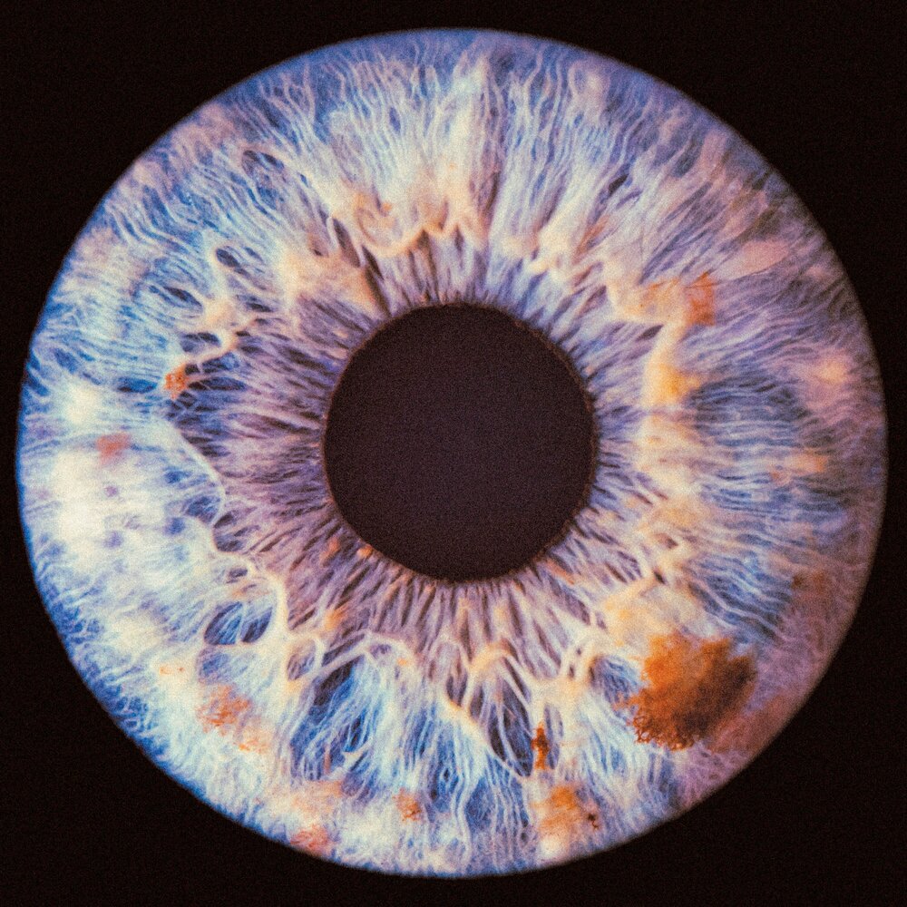 Eye Iris photo Studio.