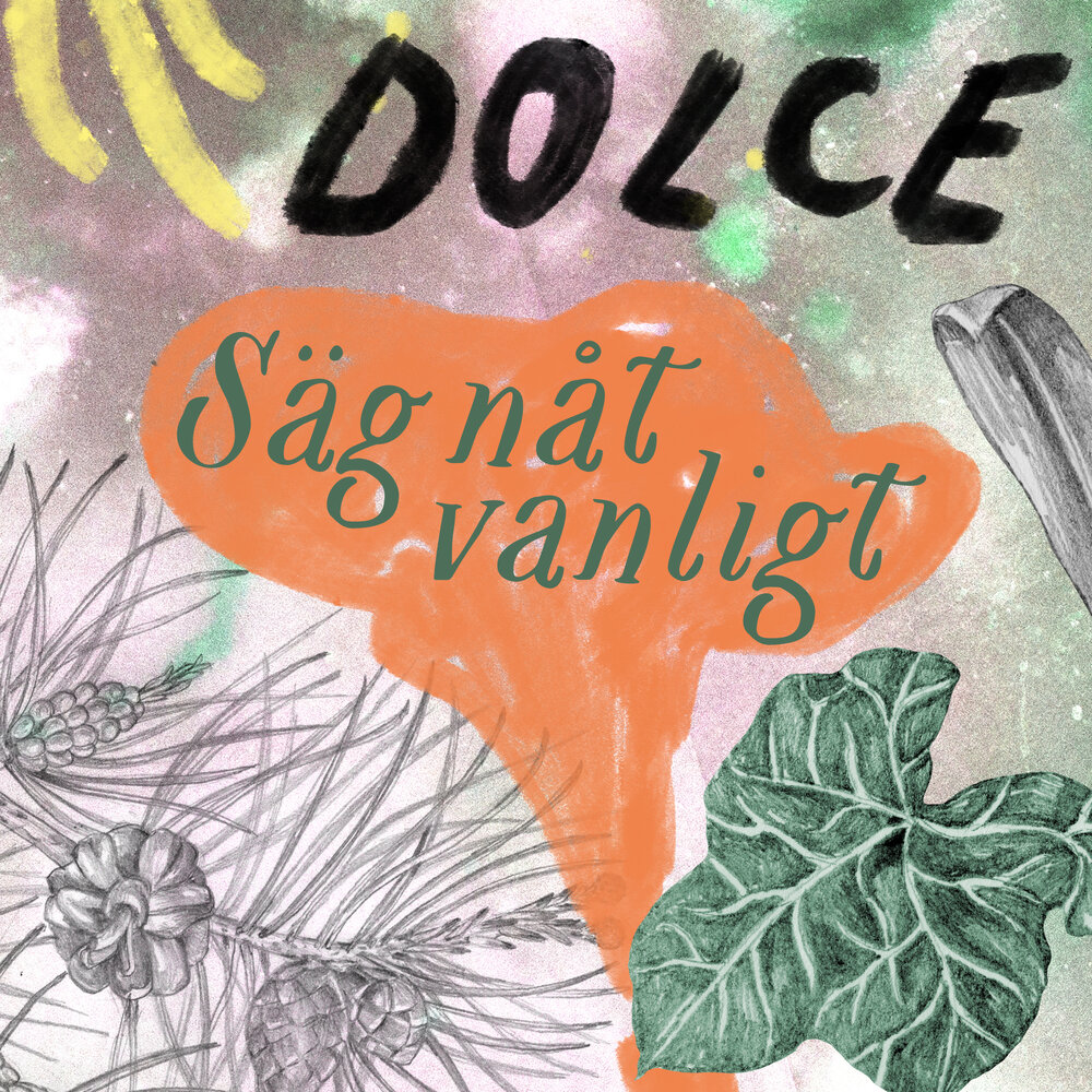 Dolce в музыке. Saeg.