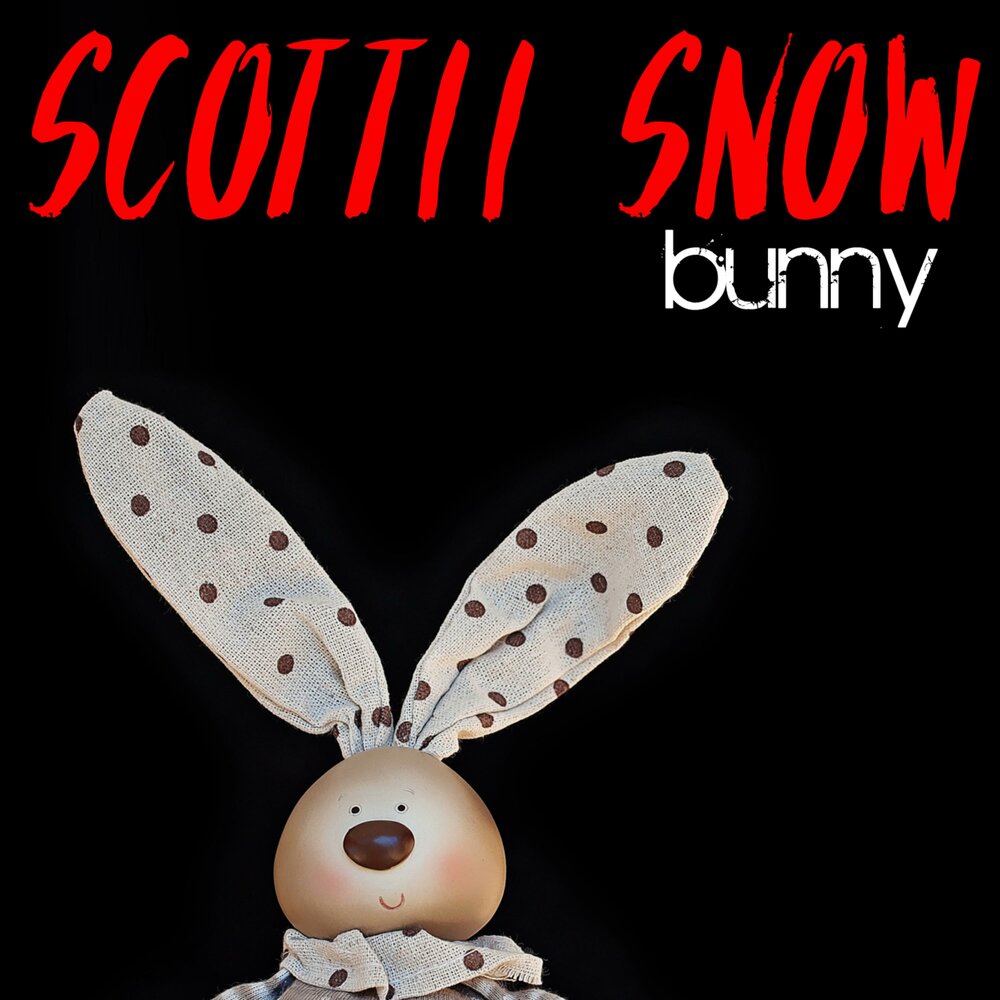 Включи банни. Песня Bunny. Bunny Music. Oh no silly Bunny Song. Gio.scottii message.