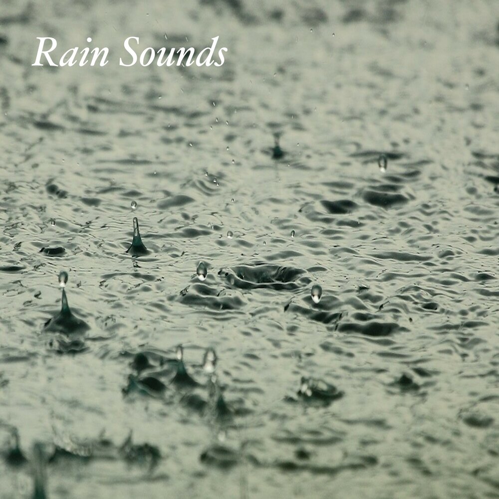 Rain Sound. Rain Sound album Cover.