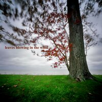 Nature Sounds from TraxLab