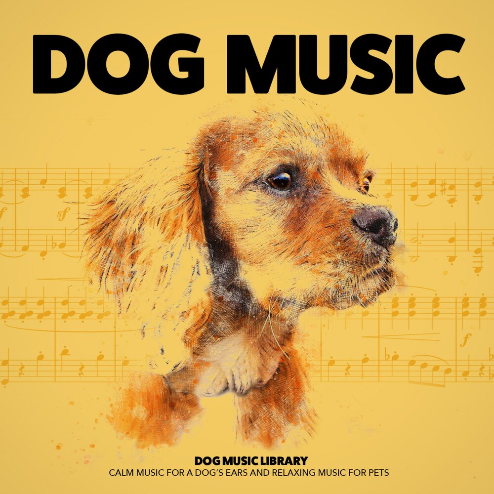 Dog music. Музыка дога. Dog musician. Снов дог музыка слушать.