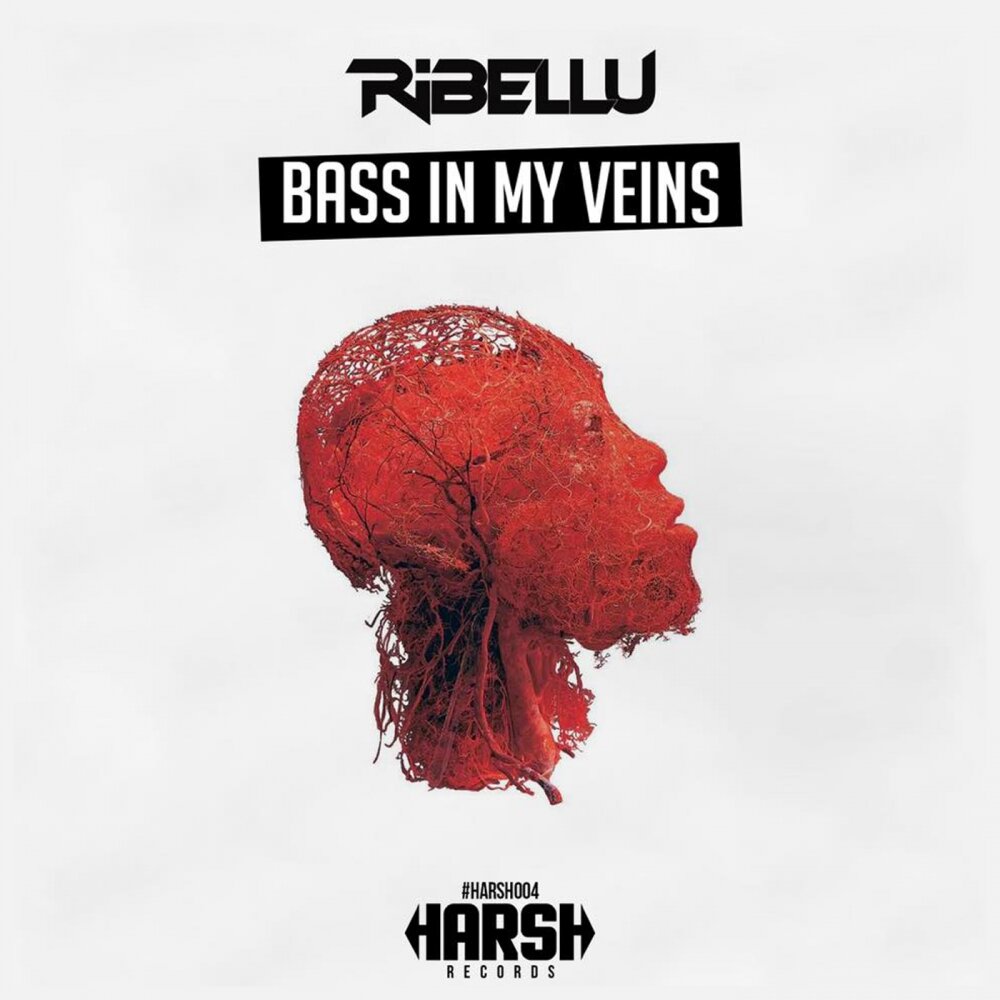 Bass in my face. Wax doctor dnb. Bass in my face. Bass in your face. Bass in your face.