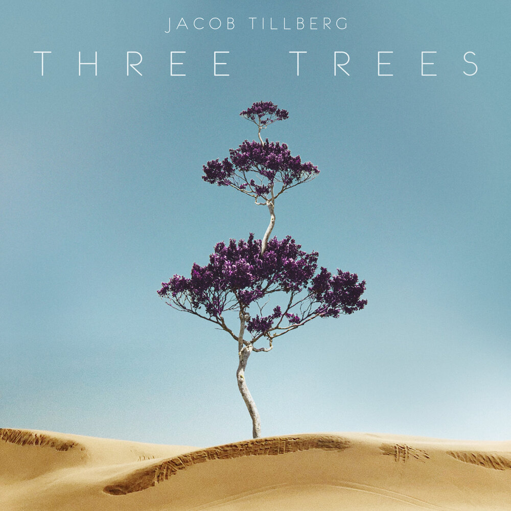 Jacob Tillberg. Альбом деревья. Дизайн альбома деревья. Jacob Tillberg Ghosts аккорды.