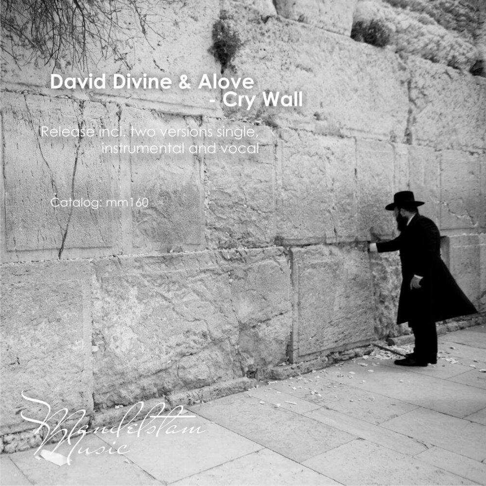 Станем стеной песня. Divine David. Wall of Cry. Vocal Walls.
