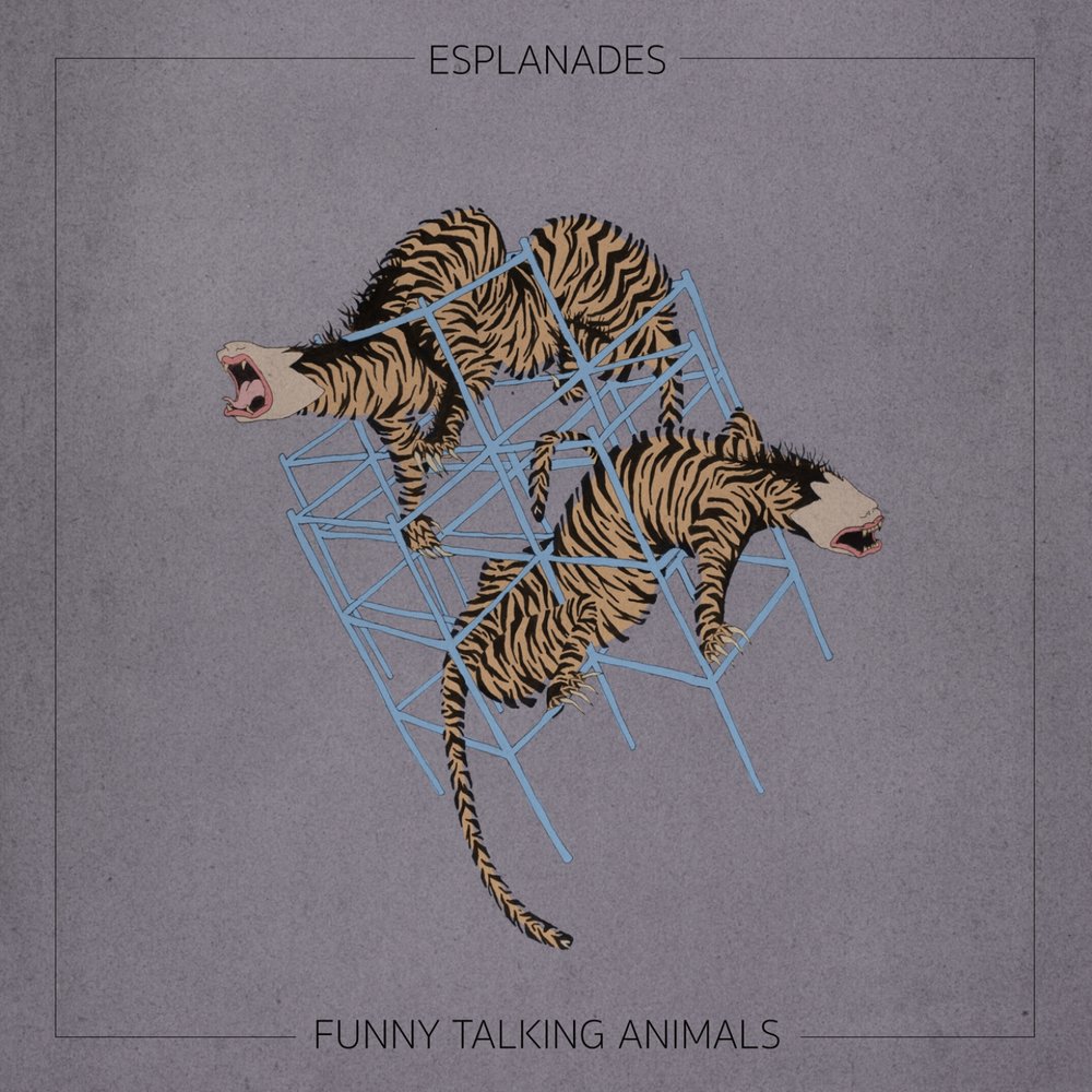 1 talk about animals. Talking animals. Animals talk to you. Negotiation funny. Esplanades.