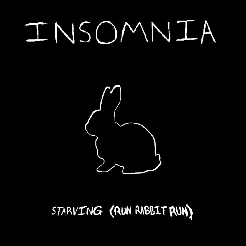 Бессонница песня. Run Rabbit Run. Run Rabbit Run Rabbit Run Run Run. Песня Run Rabbit Run. Песня Run Rabbit Run Rabbit.