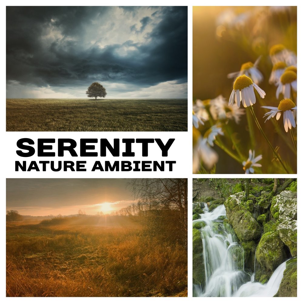 Serenity nature. Peaceful Ambient nature. The nature collection Israel. Минусовка природа