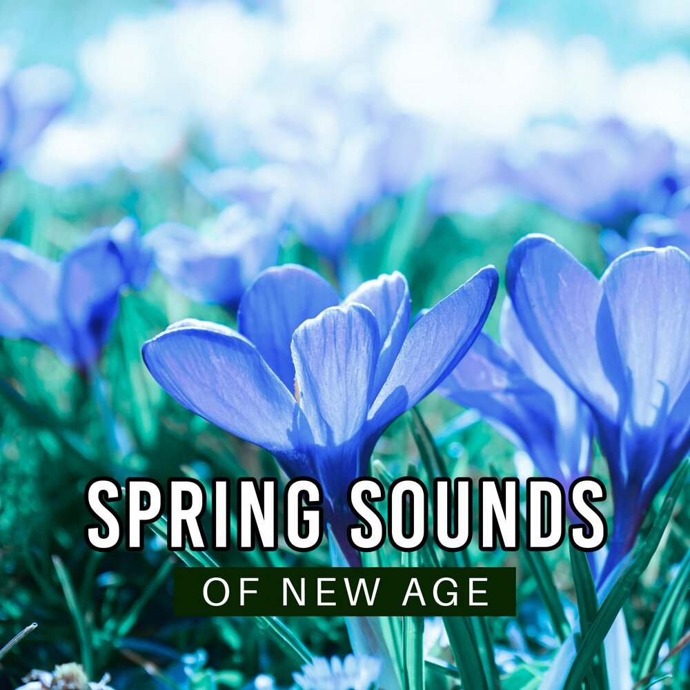 Релакс музыка воды слушать. Spring Sound. Оригинальный звук Spring show.