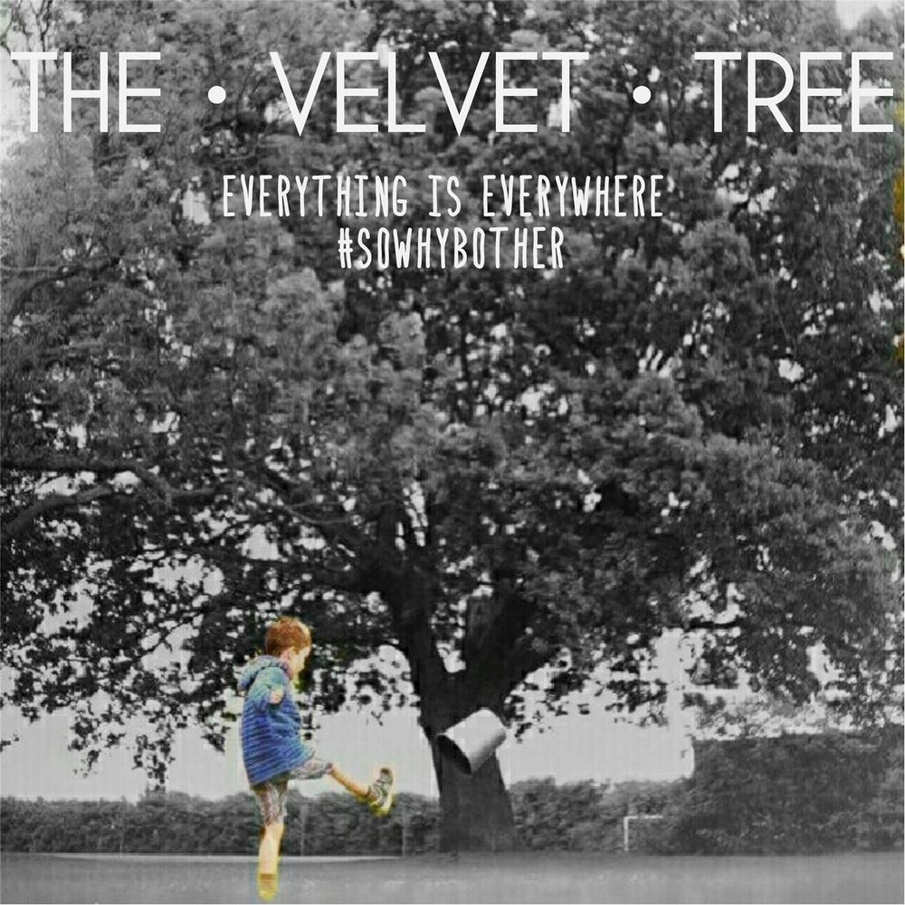 She said song. Velvet Tree.