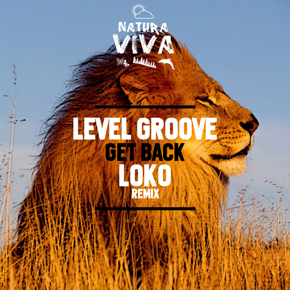 Back level. Level Groove. Groove музыка обложка. Groove атюнов на заре.