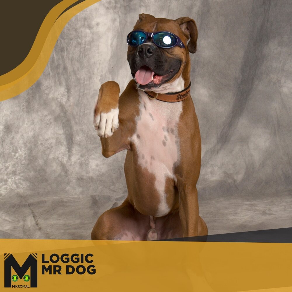 Mr dog. Мистер дог. Мистер дог на аву.