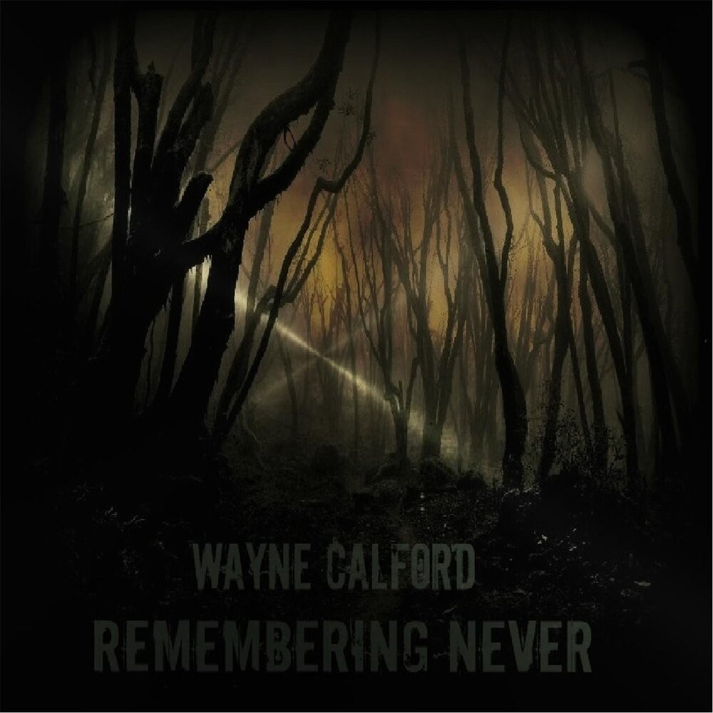 Die dreaming. Wayne Calford группа. Wayne Calford. Remembering never.