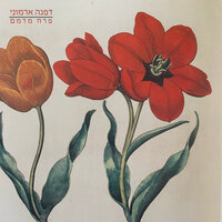 artist-cover