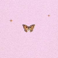 artist-cover