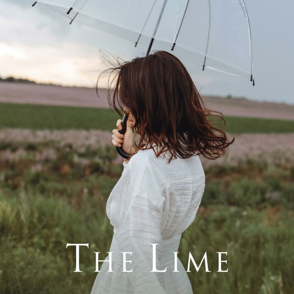 Love lime. Love lime. Lime unexpected lovers 1985. Love lime. Lime канадская группа.