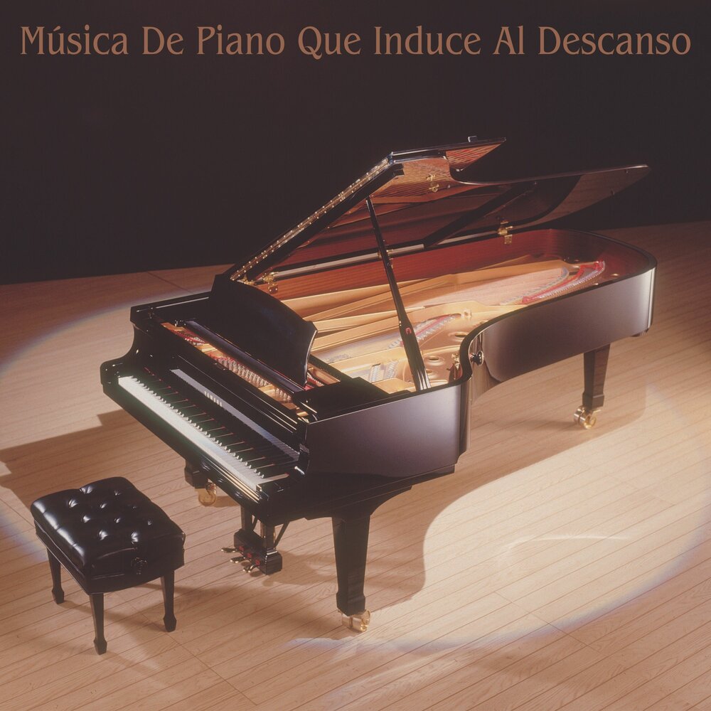 Музыкальный инструмент рояль вид сбоку. Крышка рояля. Крышка рояля вид сверху. Steinway & sons саунбар. Рояль форма.