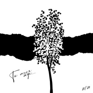 20/24