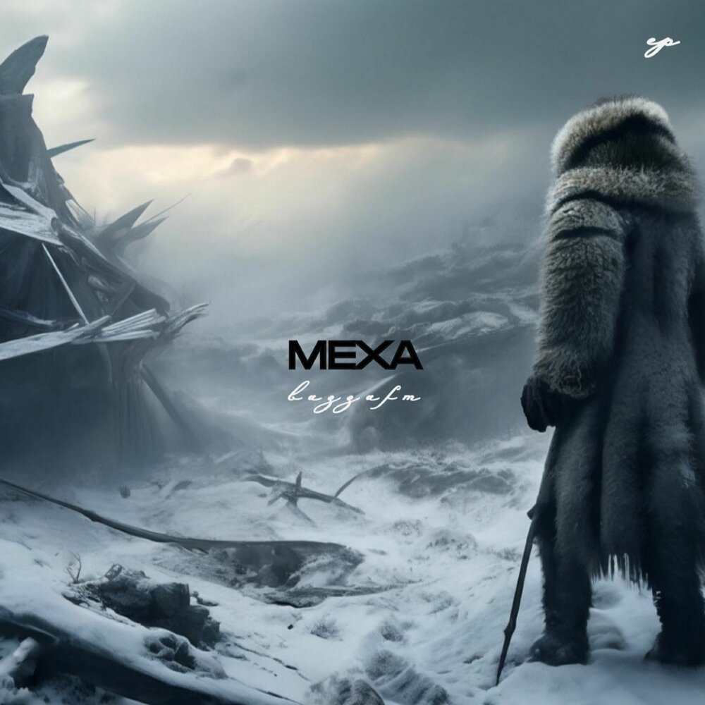 Меховые изделия для женщин. Шуба. Девушка в мехах. Девушка в шубе. Девушки в меху.