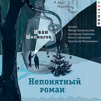 Аудио Иван Шипнигов. «Непонятный роман»  