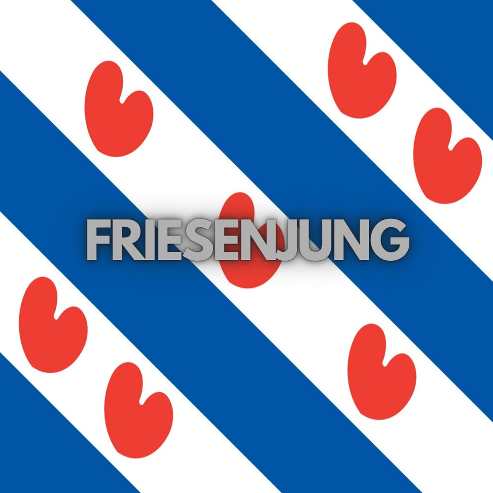 Friesenjung mixed. Фрисландия флаг. Северная Фрисландия флаг. Friesland Германия флаг. Картинки флага Фризии.