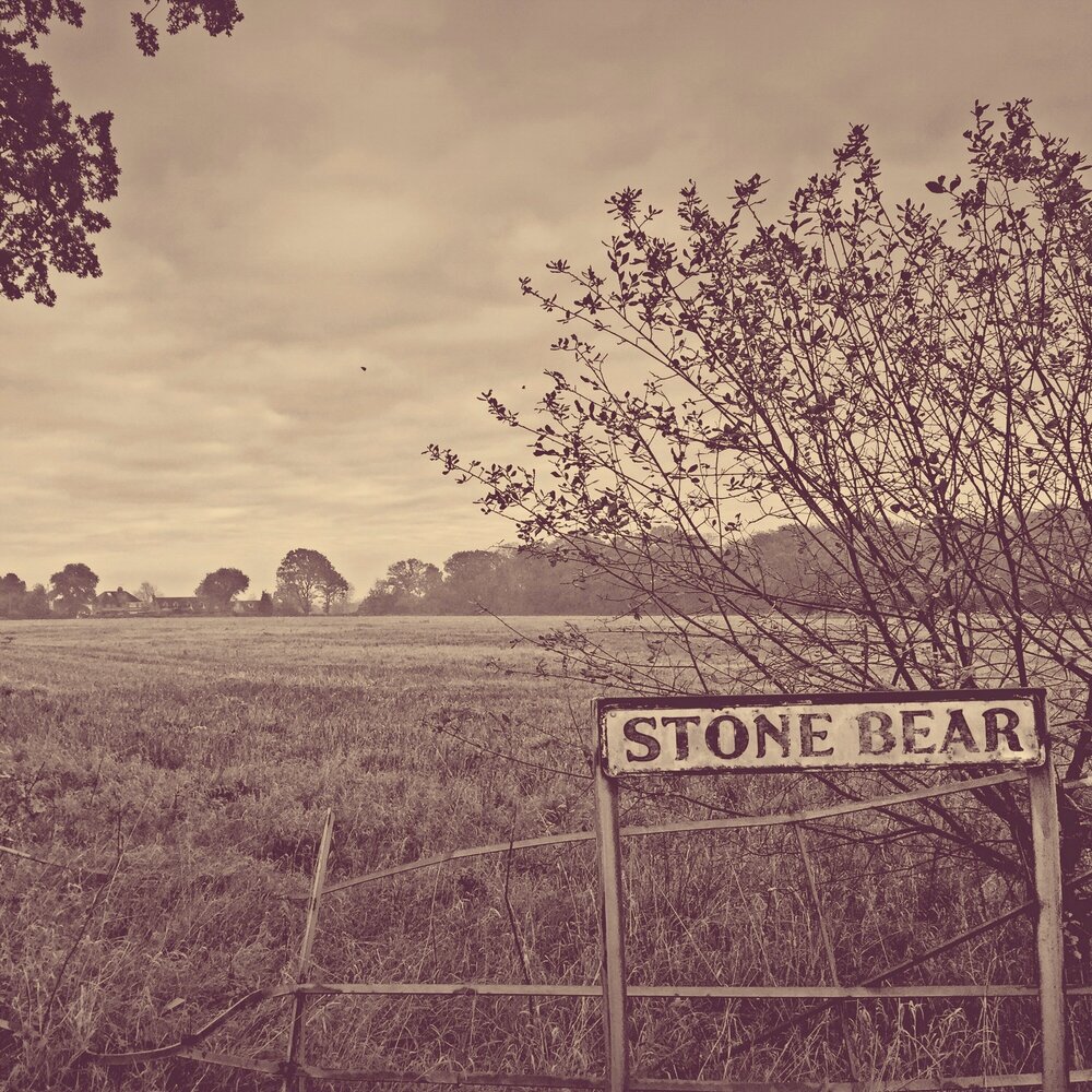 Stone born. Bear Stone. Пост рок Bear. Rubble Bear. Bear listen Music.