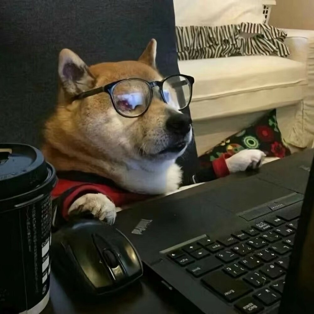 Собака за компьютером мем Lucky 肥 猫 Pro слушать онлайн на Яндекс Музыке