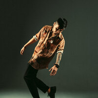 artist-cover