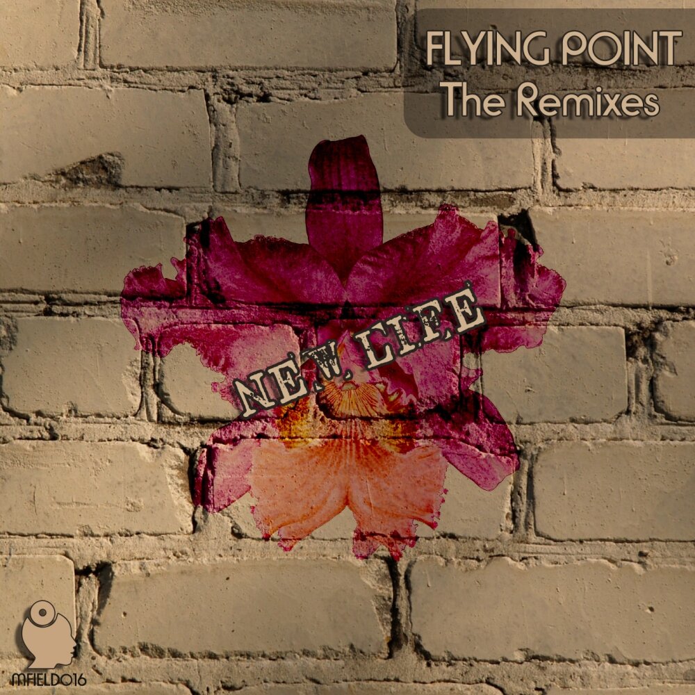 Flying my life. The Remixes 2013. FLYPOINT.