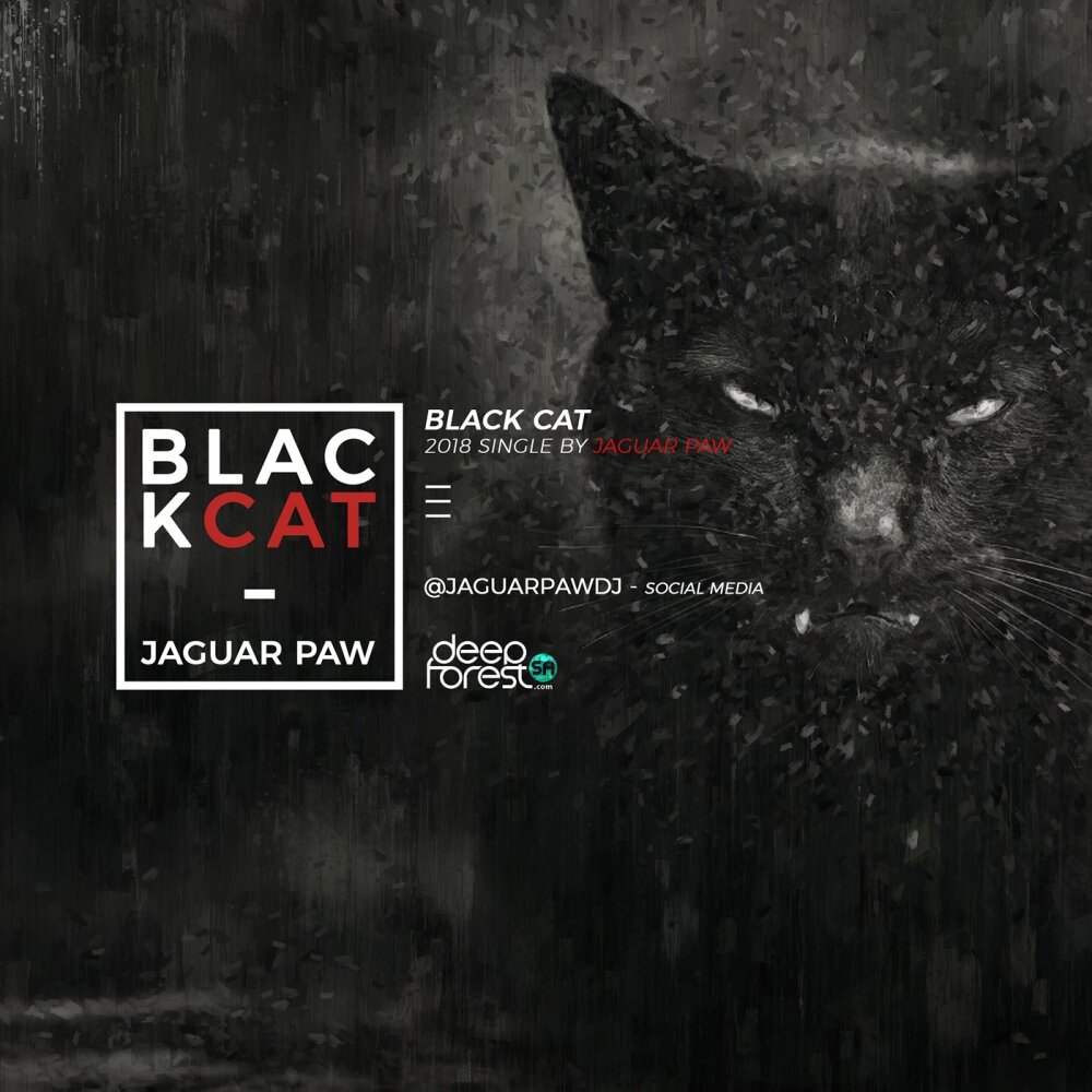 Слушать кэт. Jaguar Paw. Черный кот минус. Black Cat's Paw. Черный кот исполнитель.