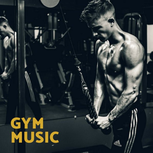 Слушать музыку для тренировок мотивация мужчин. Gym Music ава. Музыка для тренировок слушать. Gym Music jp фото. Боди Проджект спорт.
