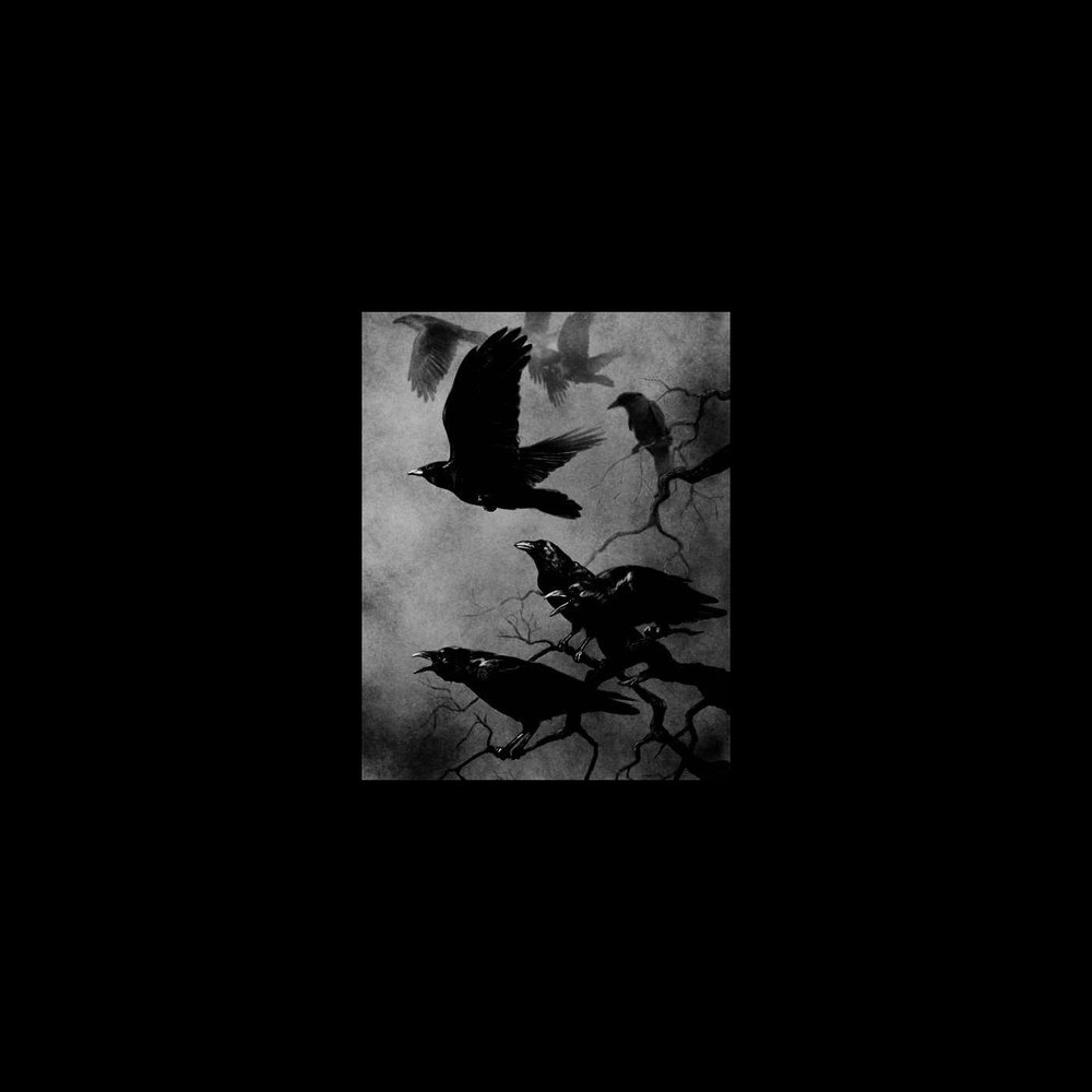 Feat crow. Black Crow караоке. Черным крылом альбом. Black Crow песня. Black Silence Song.