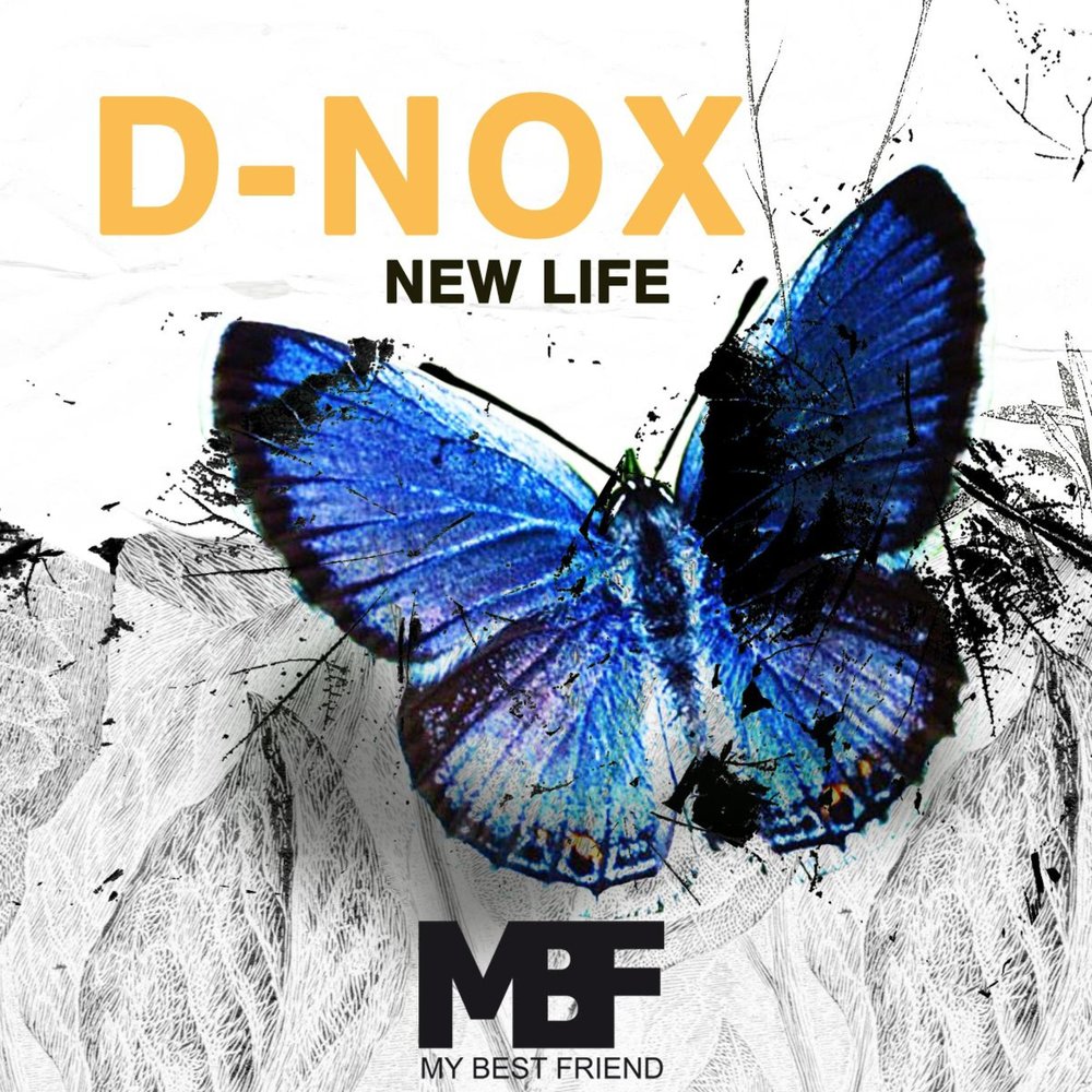 New Life картинки. The New Life. Nox Music. Нокс Мьюзик. D life new