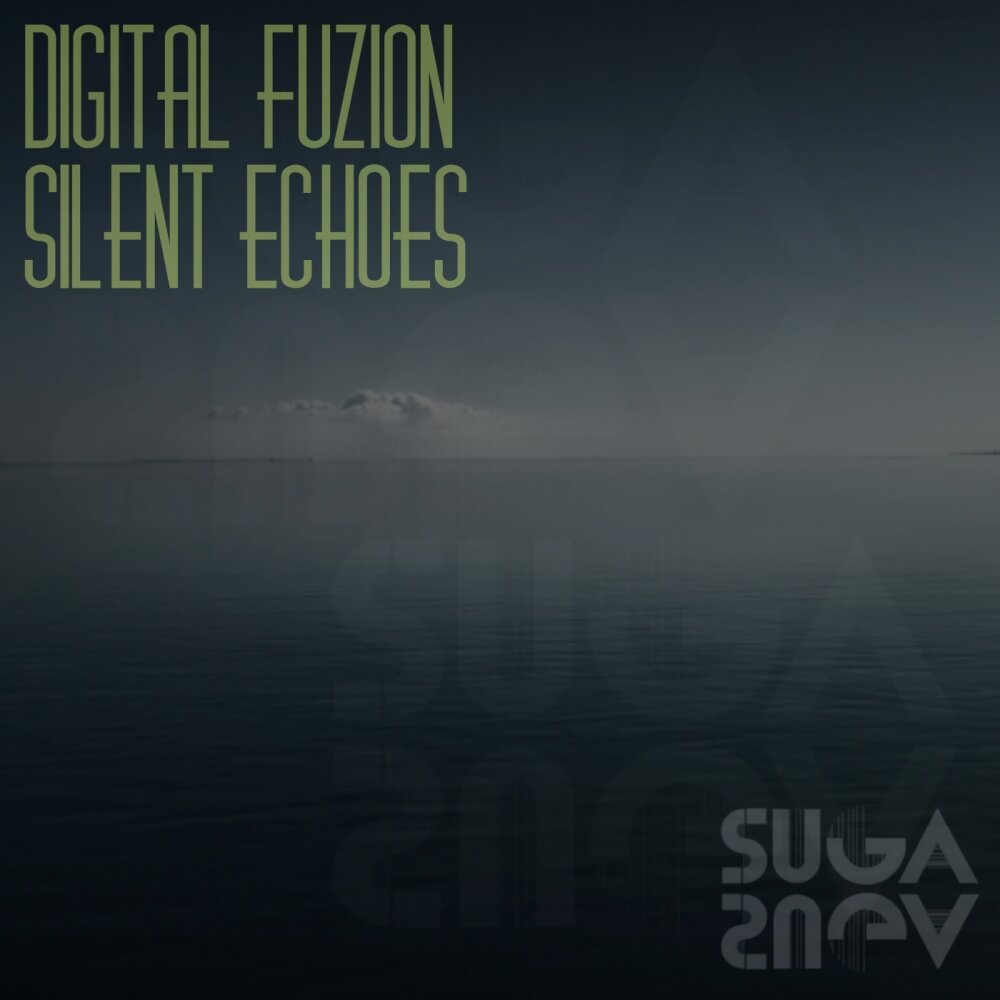 Silent echo. Echoes 7even. Echoes of Silence Disk.