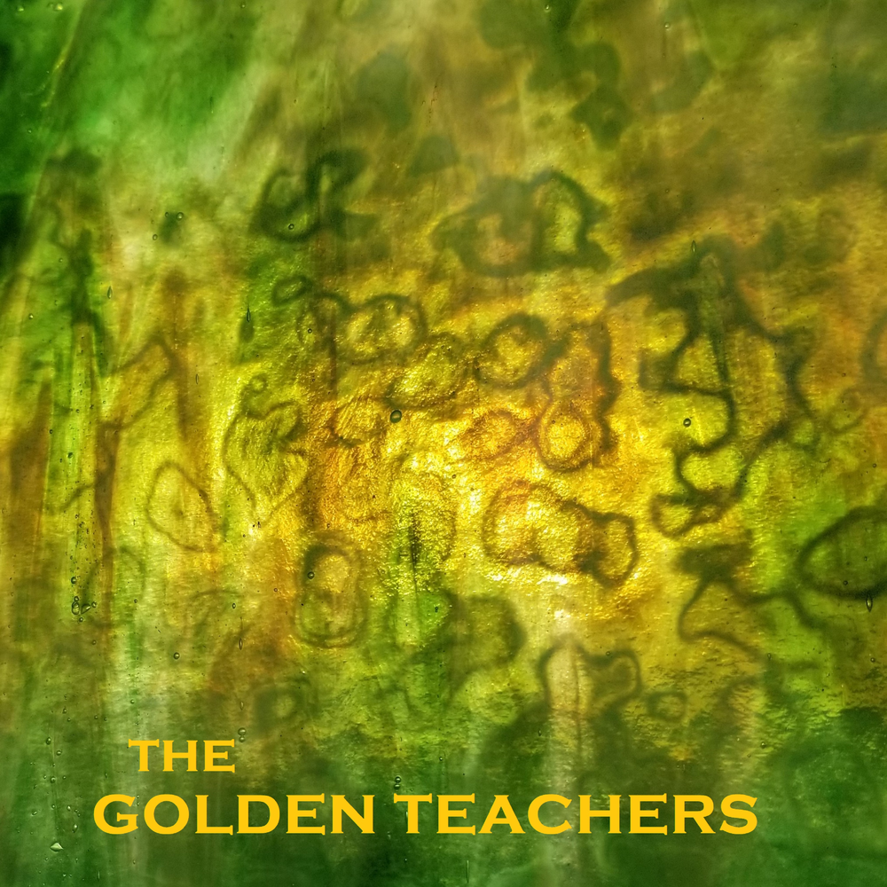 Gold teacher s. Голден Тичер грибы. Золотой учитель грибы эффект. Golden teacher мицелий. Golden teacher трип.