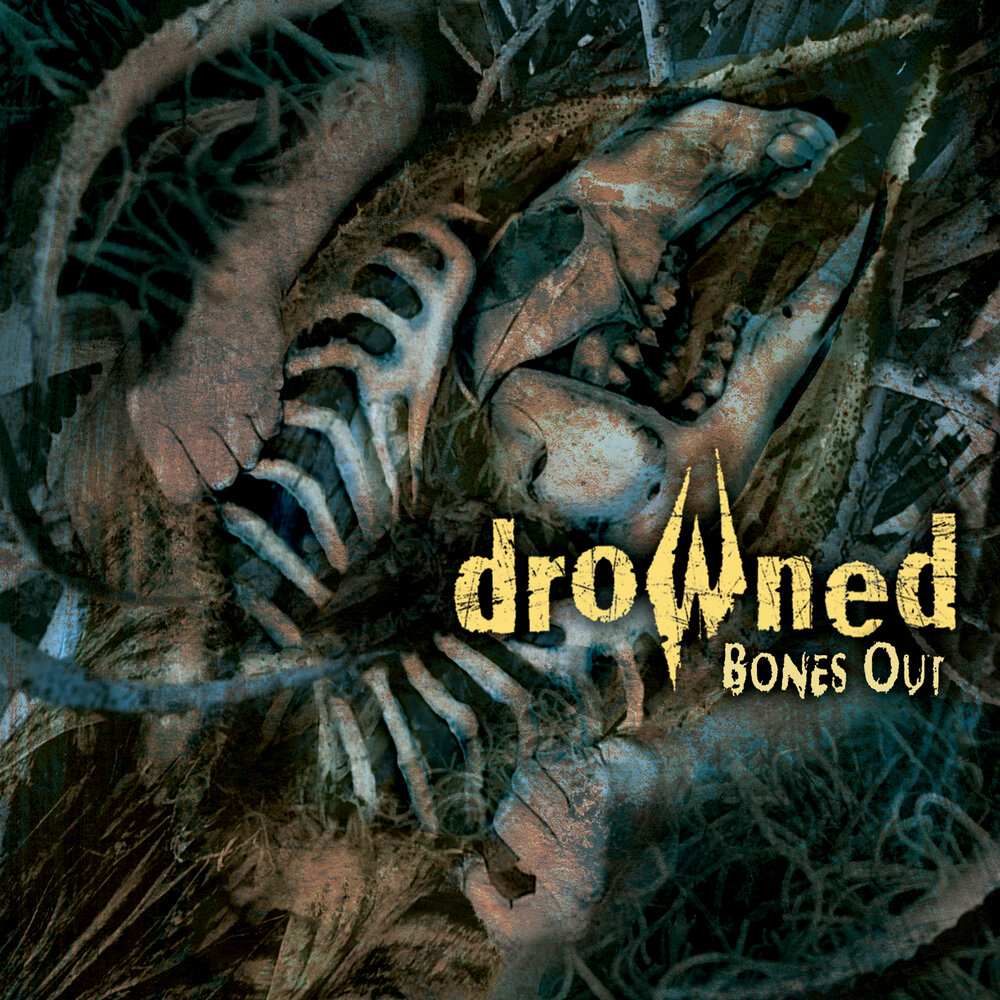 Bone out. Drown Bones перевод.