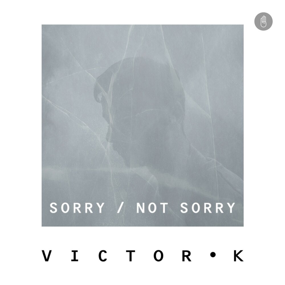 Sorry Music. You're sorry - Victor Lundberg песня.