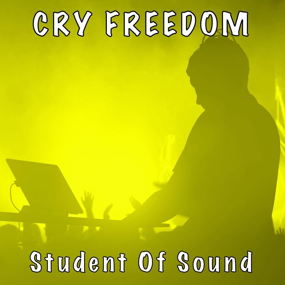 Слушать песню студент руки. Freedom Sounds. Студенты музыка. Cry Sound. Precount Cry песня.